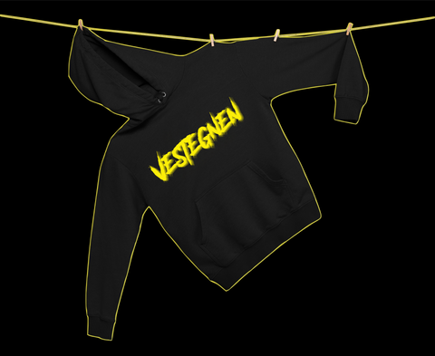 VESTEGNEN⚡️